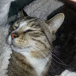 Meet your Posher, Lynn